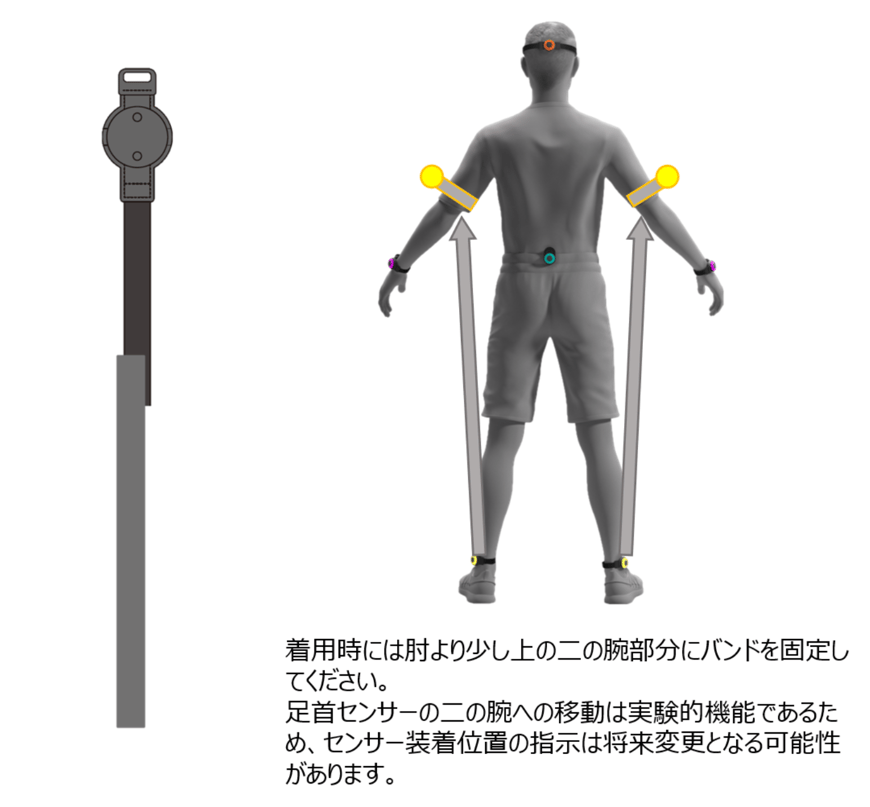 upbody_beta7_jp