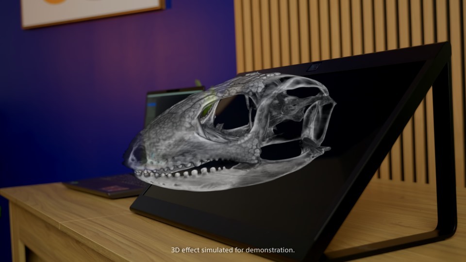 Sony SDR Frame Grab 04